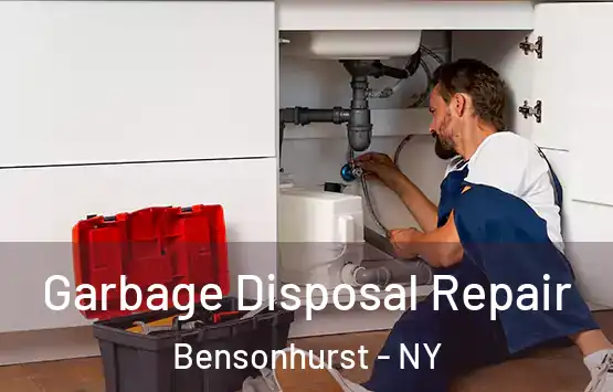  Garbage Disposal Repair Bensonhurst - NY