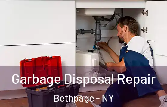  Garbage Disposal Repair Bethpage - NY