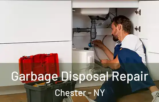  Garbage Disposal Repair Chester - NY
