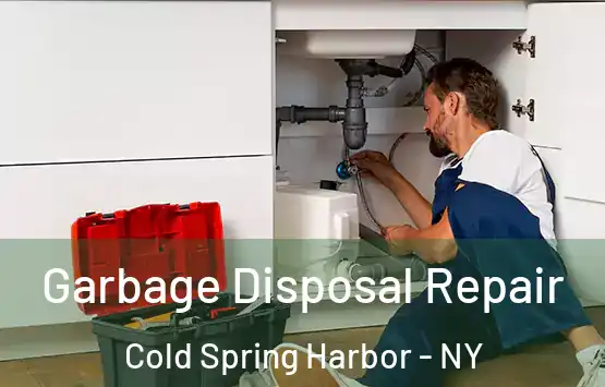  Garbage Disposal Repair Cold Spring Harbor - NY