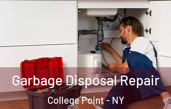  Garbage Disposal Repair College Point - NY