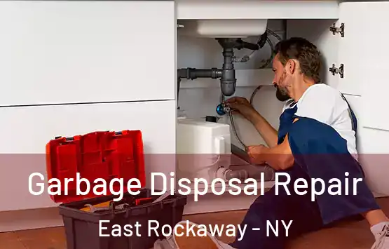  Garbage Disposal Repair East Rockaway - NY