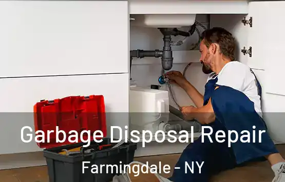  Garbage Disposal Repair Farmingdale - NY