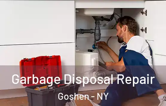  Garbage Disposal Repair Goshen - NY