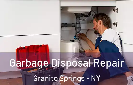  Garbage Disposal Repair Granite Springs - NY