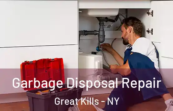  Garbage Disposal Repair Great Kills - NY