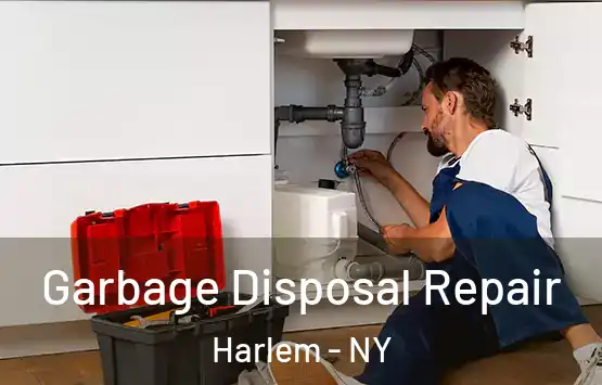  Garbage Disposal Repair Harlem - NY