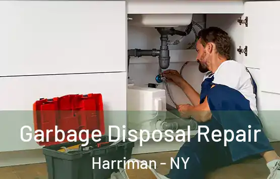  Garbage Disposal Repair Harriman - NY