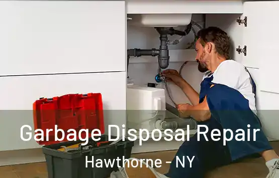  Garbage Disposal Repair Hawthorne - NY