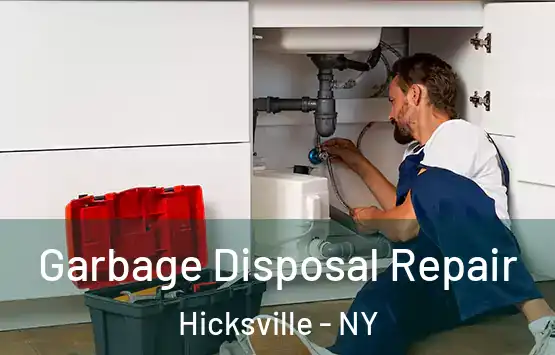  Garbage Disposal Repair Hicksville - NY