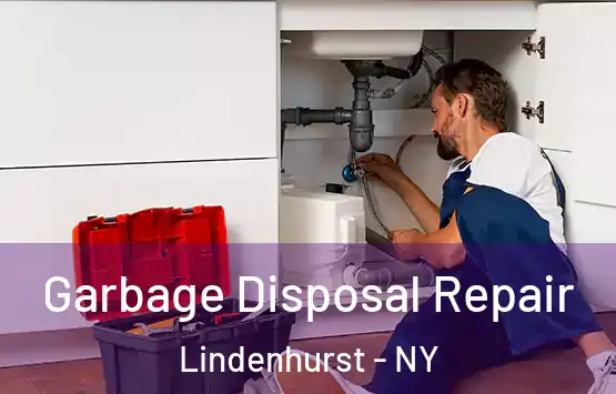  Garbage Disposal Repair Lindenhurst - NY