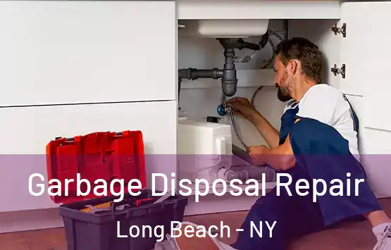  Garbage Disposal Repair Long Beach - NY