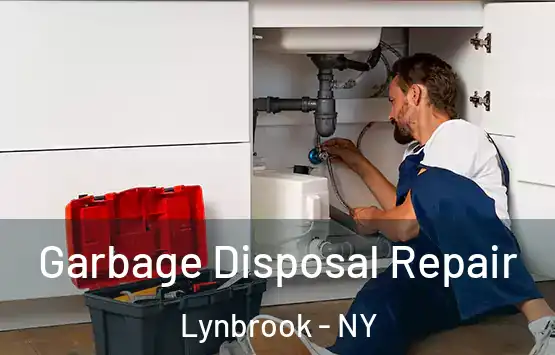  Garbage Disposal Repair Lynbrook - NY