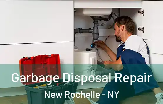  Garbage Disposal Repair New Rochelle - NY