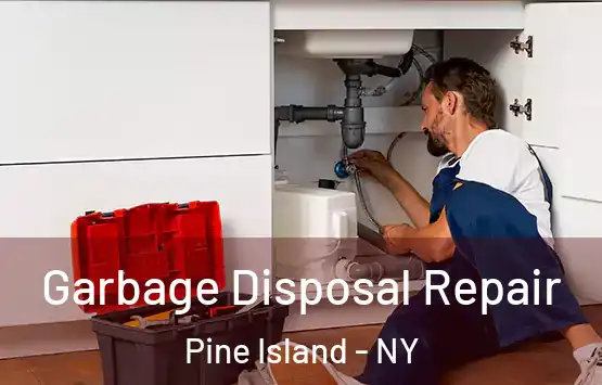  Garbage Disposal Repair Pine Island - NY