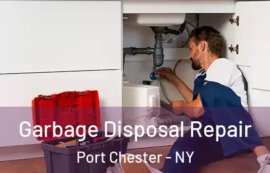  Garbage Disposal Repair Port Chester - NY