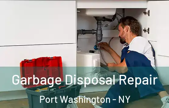  Garbage Disposal Repair Port Washington - NY