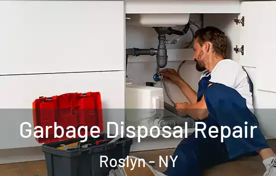  Garbage Disposal Repair Roslyn - NY