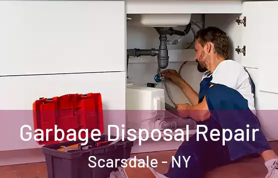  Garbage Disposal Repair Scarsdale - NY