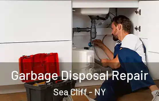  Garbage Disposal Repair Sea Cliff - NY