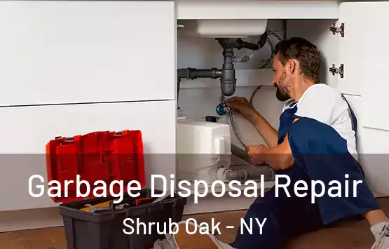  Garbage Disposal Repair Shrub Oak - NY