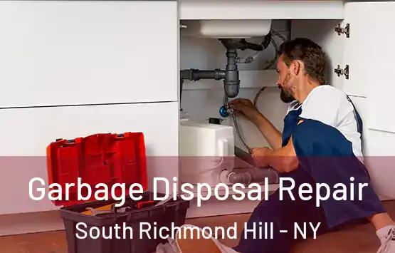  Garbage Disposal Repair South Richmond Hill - NY