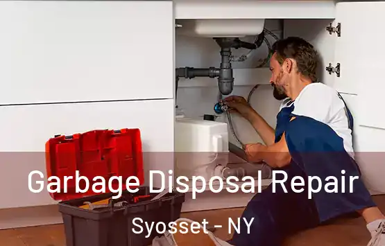  Garbage Disposal Repair Syosset - NY