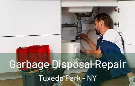  Garbage Disposal Repair Tuxedo Park - NY