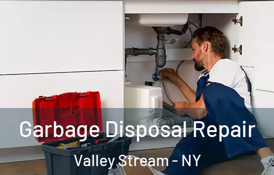  Garbage Disposal Repair Valley Stream - NY