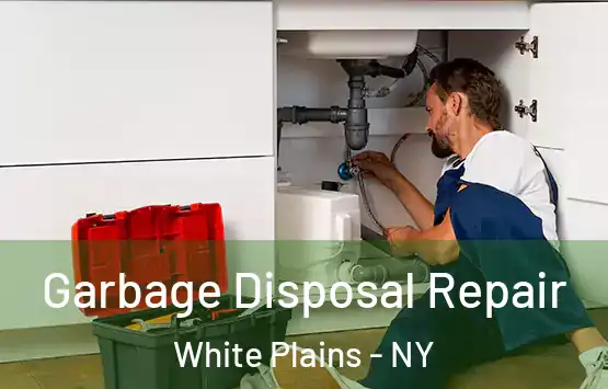  Garbage Disposal Repair White Plains - NY