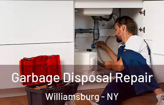  Garbage Disposal Repair Williamsburg - NY