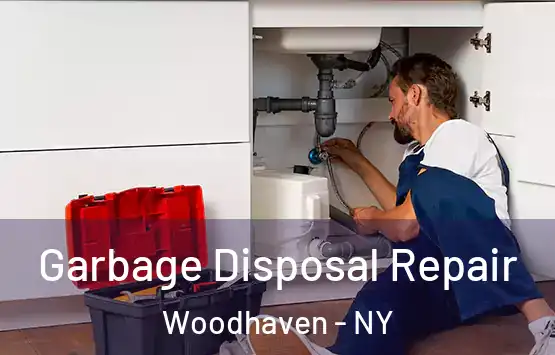  Garbage Disposal Repair Woodhaven - NY