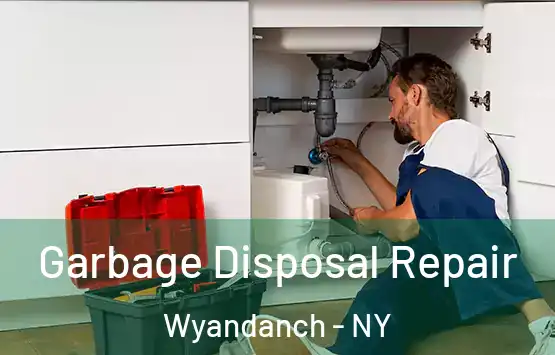 Garbage Disposal Repair Wyandanch - NY