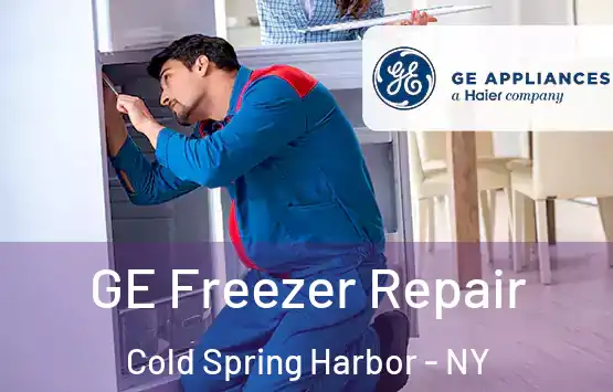  GE Freezer Repair Cold Spring Harbor - NY