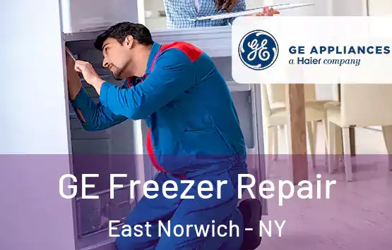  GE Freezer Repair East Norwich - NY