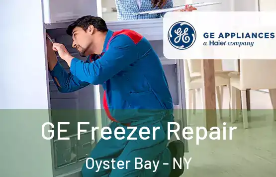  GE Freezer Repair Oyster Bay - NY