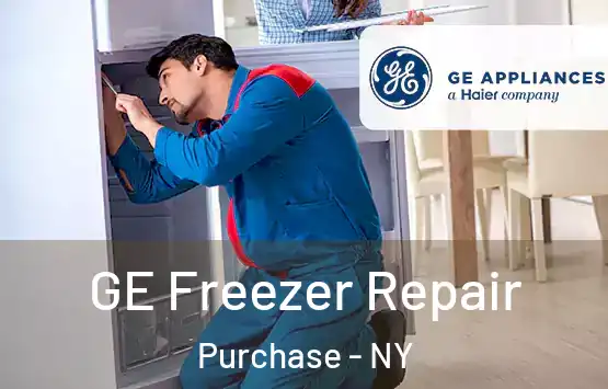  GE Freezer Repair Purchase - NY