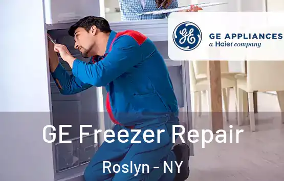  GE Freezer Repair Roslyn - NY