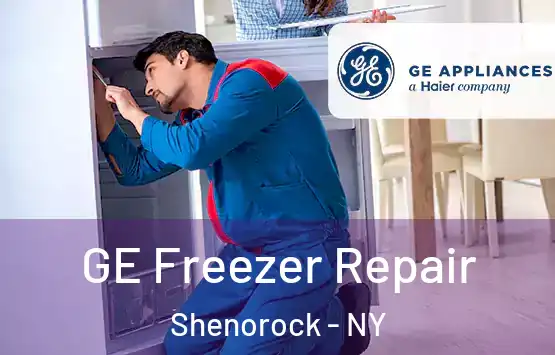 GE Freezer Repair Shenorock - NY