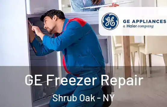  GE Freezer Repair Shrub Oak - NY