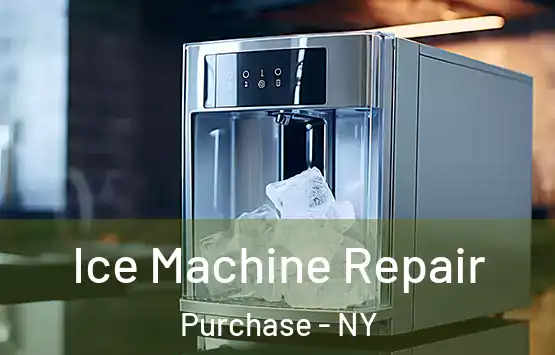  Ice Machine Repair Purchase - NY