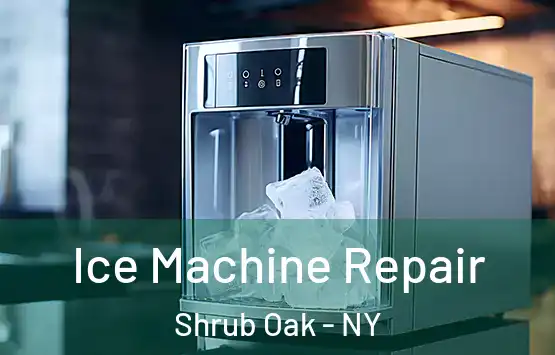  Ice Machine Repair Shrub Oak - NY