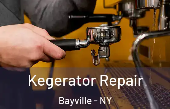  Kegerator Repair Bayville - NY