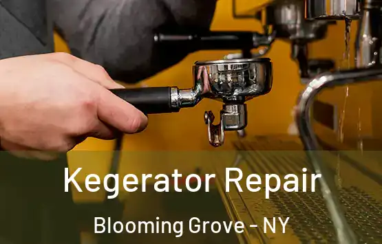  Kegerator Repair Blooming Grove - NY