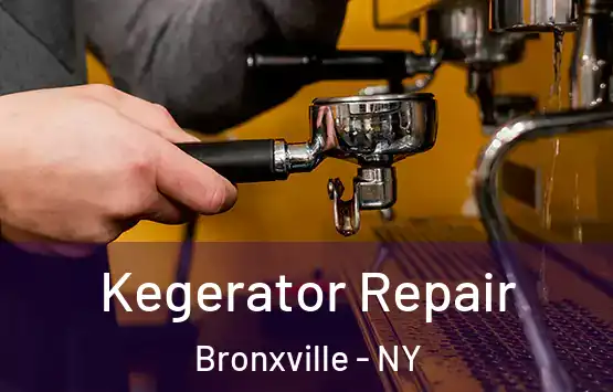  Kegerator Repair Bronxville - NY