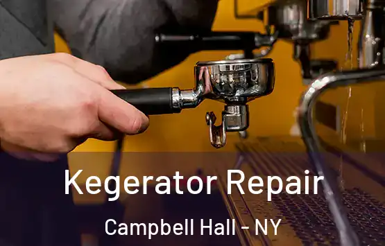  Kegerator Repair Campbell Hall - NY