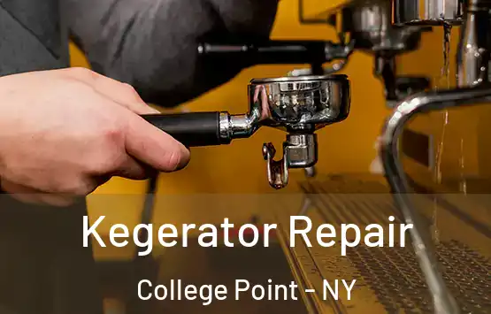  Kegerator Repair College Point - NY