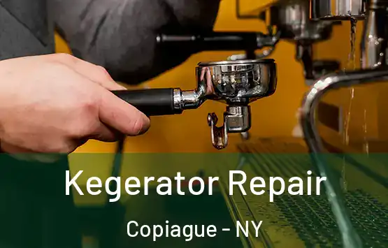  Kegerator Repair Copiague - NY