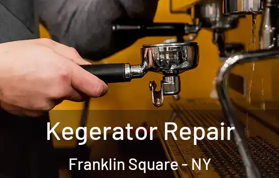  Kegerator Repair Franklin Square - NY