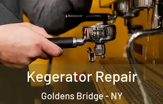  Kegerator Repair Goldens Bridge - NY